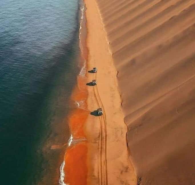 Doha: InlandSea Tour,Camel,Sand Boarding With All Activities - Final Thoughts