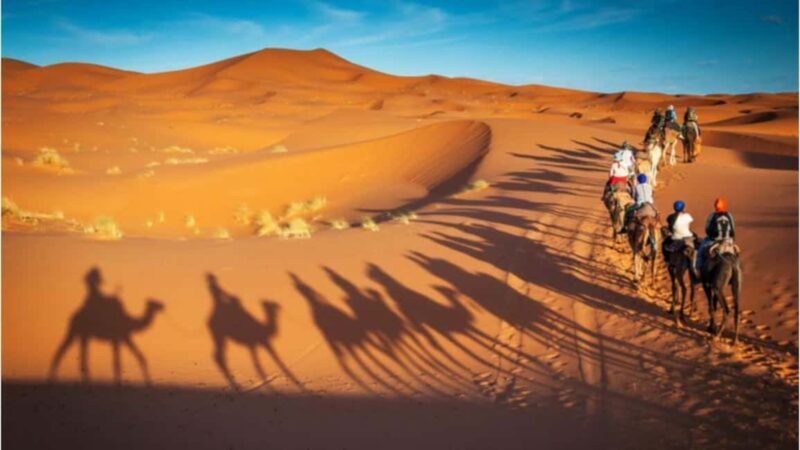 Doha Layover Desert Tour, Camel Ride and Inland sea - What You Can Expect from the Tour