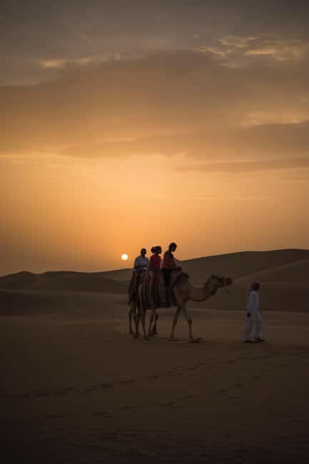 Doha Layover Desert Tour, Camel Ride and Inland sea - FAQ