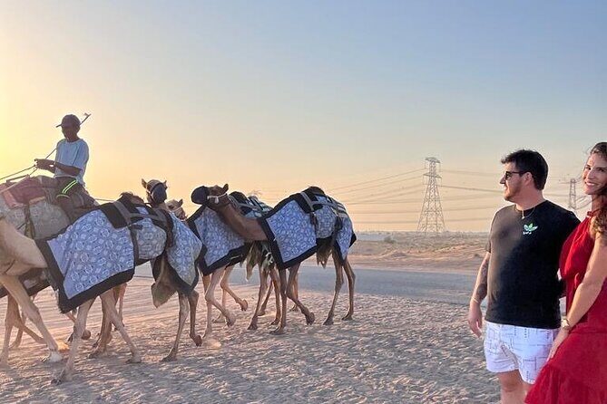 Doha Layover or Doha Stopover Tour with Desert & City Tour - Key Points