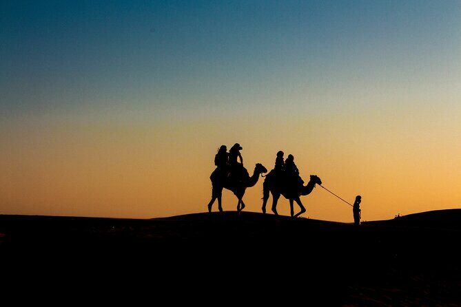 Doha Night Desert Safari Adventure - The Tour Breakdown