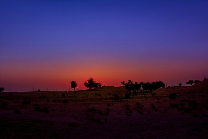 Doha Night Desert Safari Adventure - Singing Dunes: Nature’s Soundscape