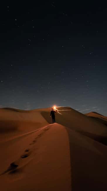 Doha: Night Desert Safari, Stargazing, and Camel Ride - Key Points