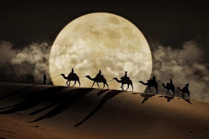 Doha Night Desert Safari Stargazing Dune Drive Camel Ride - An Honest Look at the Itinerary