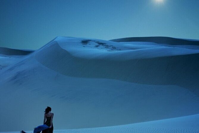 Doha Night Desert Safari Stargazing Dune Drive Camel Ride - FAQ