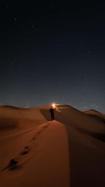 Doha: Night Desert Safari, Stargazing, Dune Driving &Inland - An In-Depth Look at the Tour