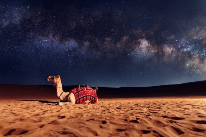Doha Night Desert Safari, Stargazing, Photography Relaxation - Final Thoughts