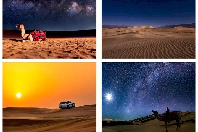 Doha : Night Desert Safari | Transit Safari | Camel ride | Dune Bashing - Exploring Doha’s Night Desert Safari: An Authentic Mix of Adventure and Tranquility