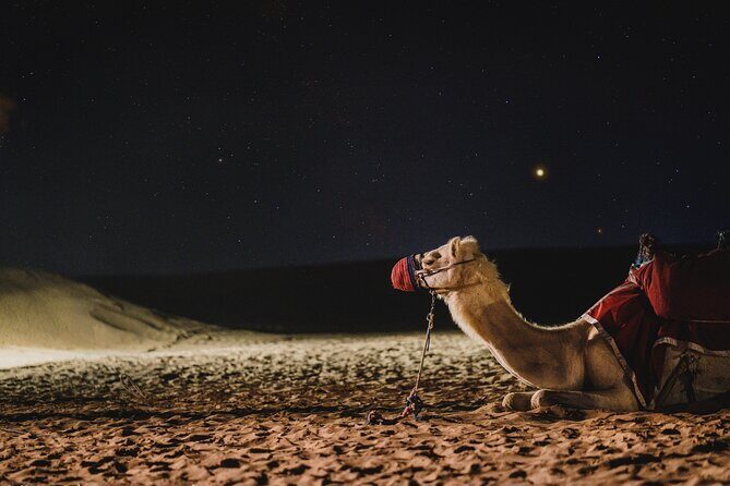 Doha : Night Desert Safari | Transit Safari | Camel ride | Dune Bashing - Key Points