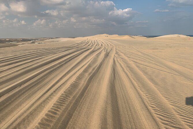 Doha : Night Desert Safari | Transit Safari | Camel ride | Dune Bashing - Who Should Book This Tour?