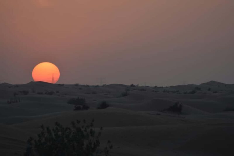 Doha: Night Desert Safari with Camel Ride and Sandboarding - Key Points