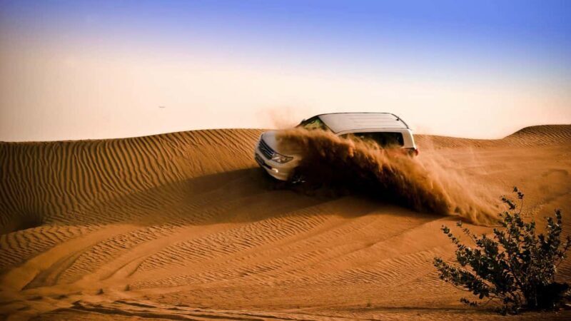 Doha: Night Desert Safari with Camel Ride and Sandboarding - Introduction to the Night Desert Safari Experience