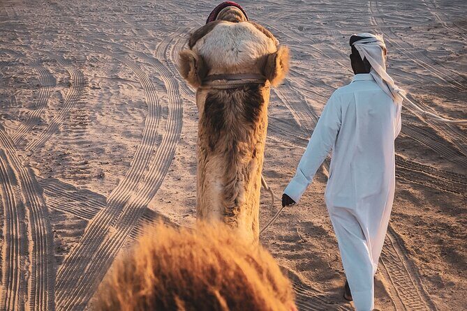 Doha-Night Desert Safari with Sand Board and Camel Ride - Key Points