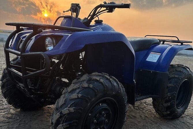 Doha-Night Desert Safari with Sand Board and Camel Ride - Highlights of the Tour Experience