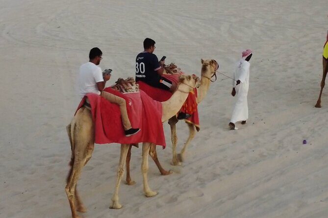 Doha-Night Desert Safari with Sand Board and Camel Ride - Who Should Consider This Tour?