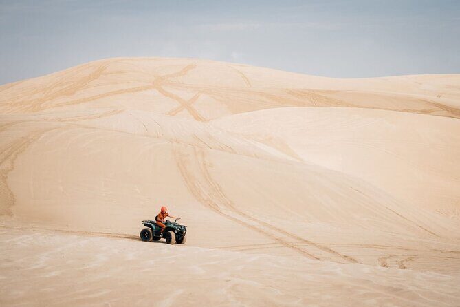 Doha-Night Desert Safari with Sand Board and Camel Ride - Final Words