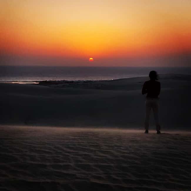 Doha: Night DesertSafari DuneBashing Sandboarding CamelRide - The Sum Up