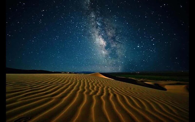 Doha: Night Safari with Dune Bashing and Camel Ride - Key Points