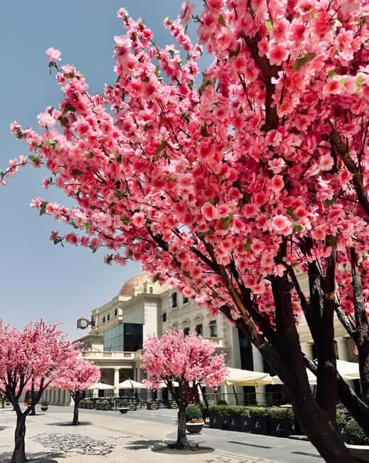 Doha: Only in Summer  Outdoor Air-Conditioned Streets Tour - Key Points