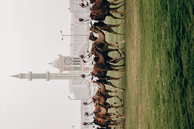 Doha Private City Tour - FAQs