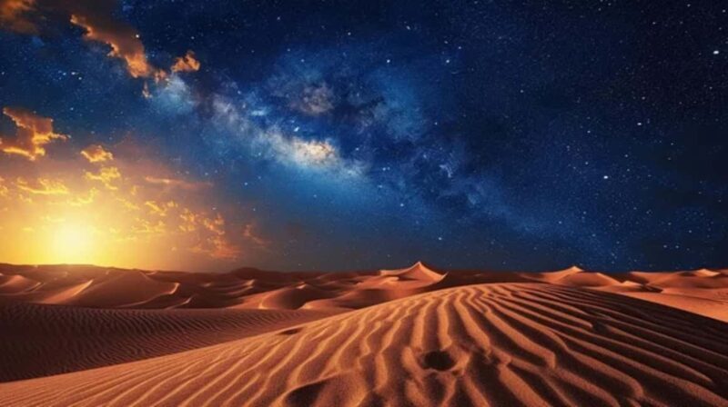 Doha: Private Desert Safari at Night with Stargazing - Key Points