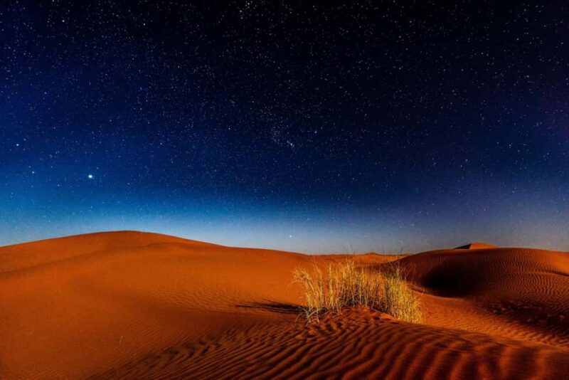 Doha: Private Desert Safari at Night with Stargazing - The Experience Provider: Desert Track Tourism