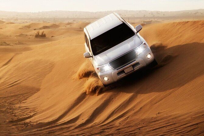 Doha: Private Half Day Desert Safari Tour in Qatar - Who Will Enjoy This Tour Most?