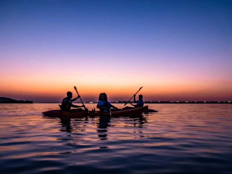Doha: Private Purple Island Mangroves Kayaking Adventure - Key Points
