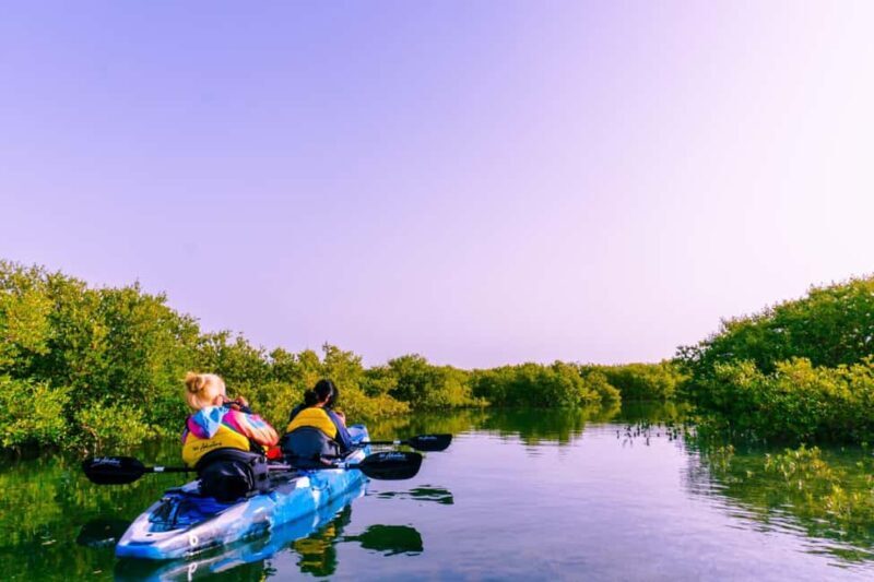 Doha: Private Purple Island Mangroves Kayaking Adventure - Introduction to the Purple Island Kayaking Tour