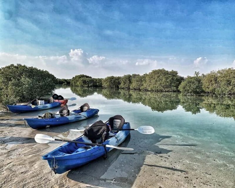 Doha: Private Purple Island Mangroves Kayaking Adventure - In-Depth: Why This Tour Is a Good Value