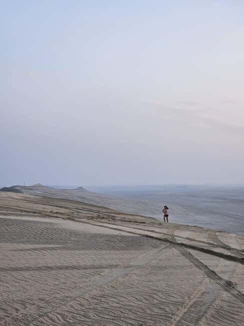Doha Qatar: Airport Layover or Transfer Desert Safari. - Who Should Consider This Tour?