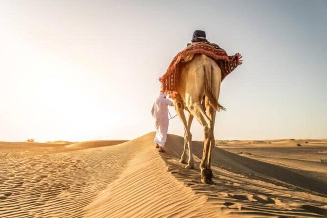 Doha Qatar ATV Quad Bike Buggy Desert Adventure and Camel Ride - FAQ