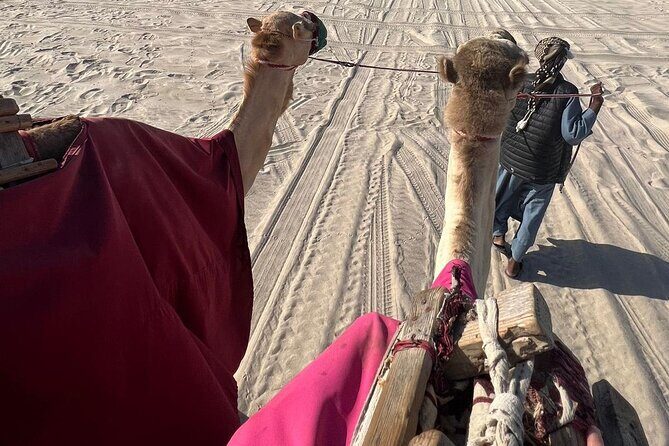 Doha Qatar ATV Quad Bike Buggy Dune Bashing and Camel Ride - Authentic Experiences and Authenticity