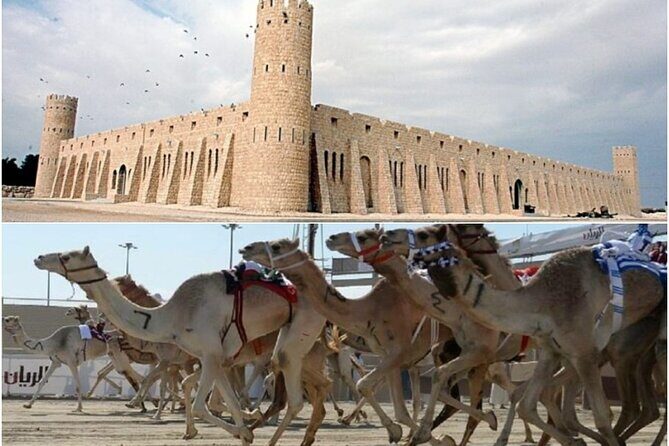 Doha, Qatar: Came Racing Track, Oryx & Sheikh Faisal Museum Tour. - Frequently Asked Questions