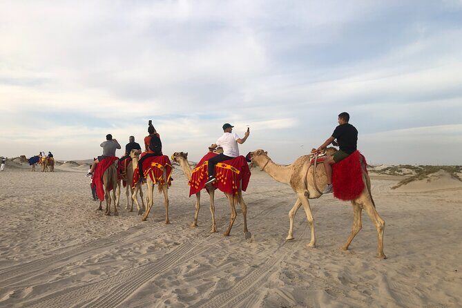 Doha, Qatar: Doha Desert Safari & City - Full Day Private Tour. - Exploring Doha’s Highlights: The Itinerary Breakdown