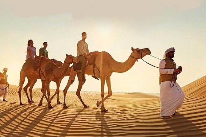 Doha Quad Bike, Dune Bashing, Camel Ride and Island Sea Tour - FAQs