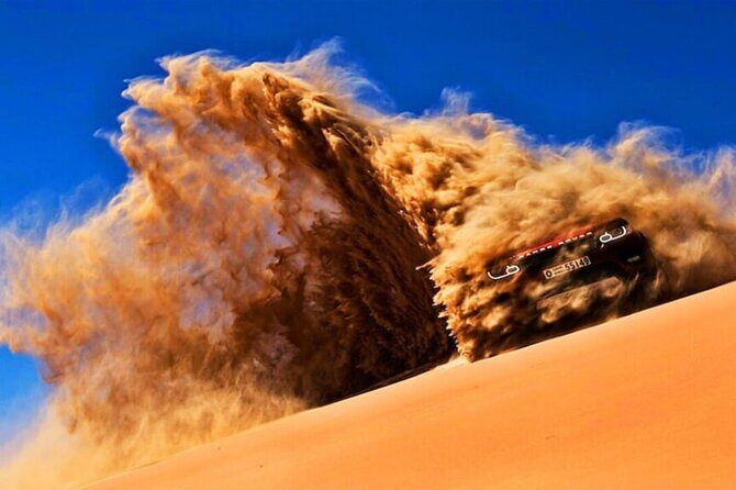 Doha Quad Bike, Dune Bashing, Camel Ride and Island Sea Tour - Final Thoughts