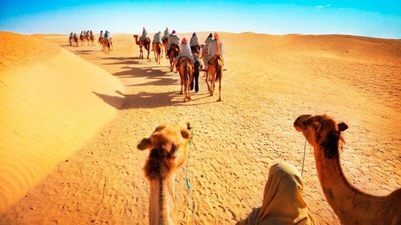 Doha: QuadBike, Buggy, Camel Ride, DuneBashing, Sandboarding - Key Points