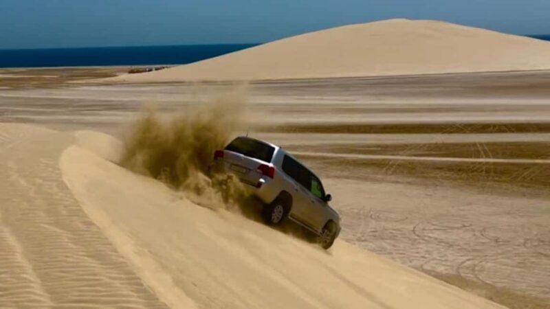 Doha: Relax Desert Safari-Sand Dune Bashing (Private Safari) - Final Thoughts
