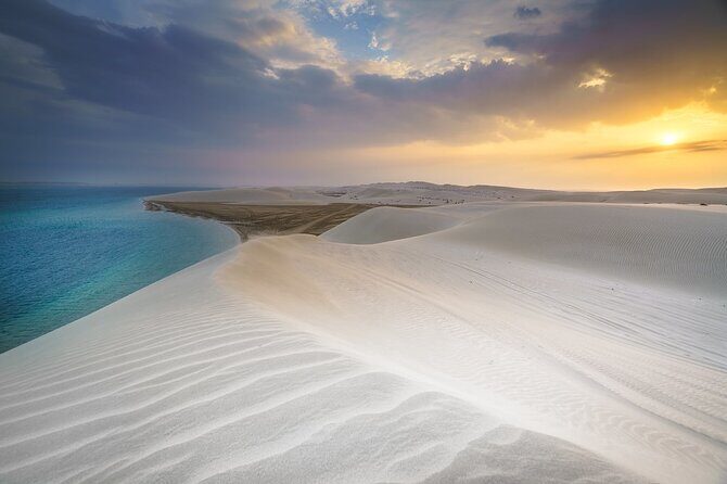 Doha Safari Adventures, Dune Bashing, Sand Buggy, Camel Ride Tour - An Overview of the Desert Safari Experience