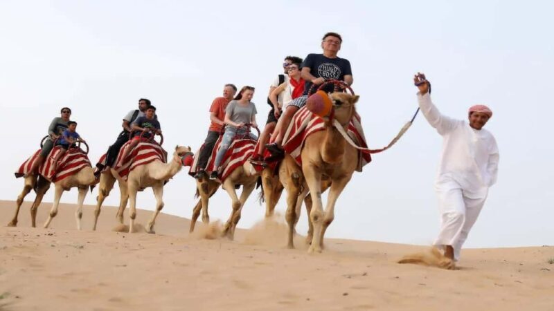 Doha: Safari, ATV, Camels, Sandboarding and Inland Sea Tour - What to Expect from the Desert Safari Experience