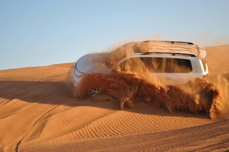 Doha: Safari, ATV, Camels, Sandboarding and Inland Sea Tour - Cultural Touch: Falconry Display and Camel Rides