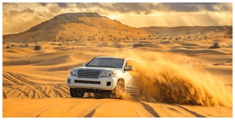 Doha: Safari ATV Ride Dunes Bashing and Camel Ride - Who Would Love This Tour?