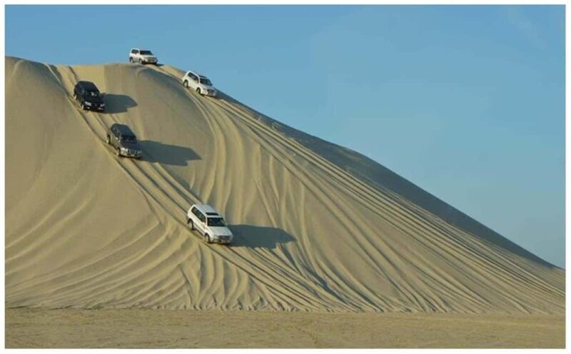 Doha: Safari, Camel Ride, Sandboarding and Inland Sea Tour - Key Points