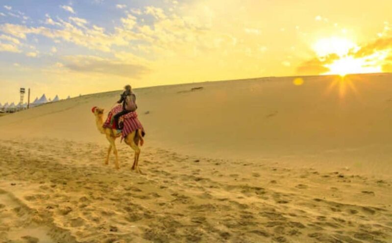 Doha: Safari, Camel Ride, Sandboarding and Inland Sea Tour - Practical Details and Tips