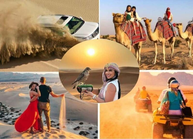 Doha: Safari, Camel Ride, Sandboarding and Inland Sea Tour - A Deep Dive into the Desert Adventure