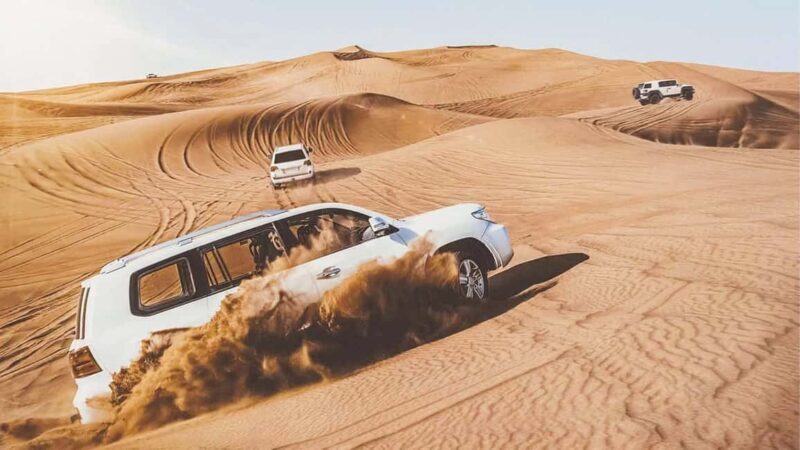Doha: Safari, Camel Ride, Sandboarding and Inland Sea Tour - Key Points