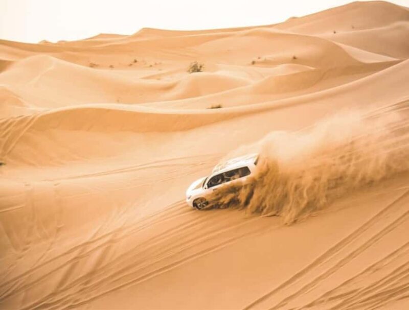 Doha: Safari, Camel Ride, Sandboarding and Inland Sea Tour - Final Thoughts