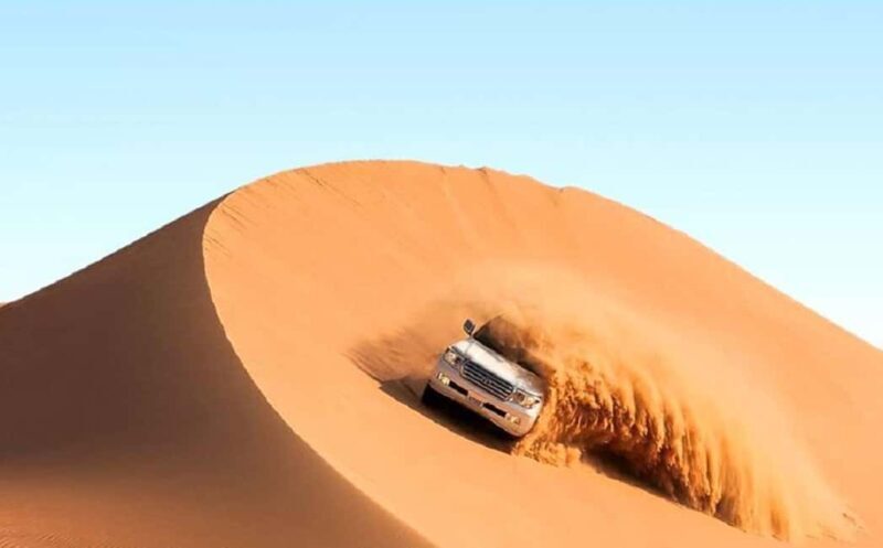 Doha: Safari, Camel Ride, Sandboarding and Inland Sea Tour - What to Expect from the Tour