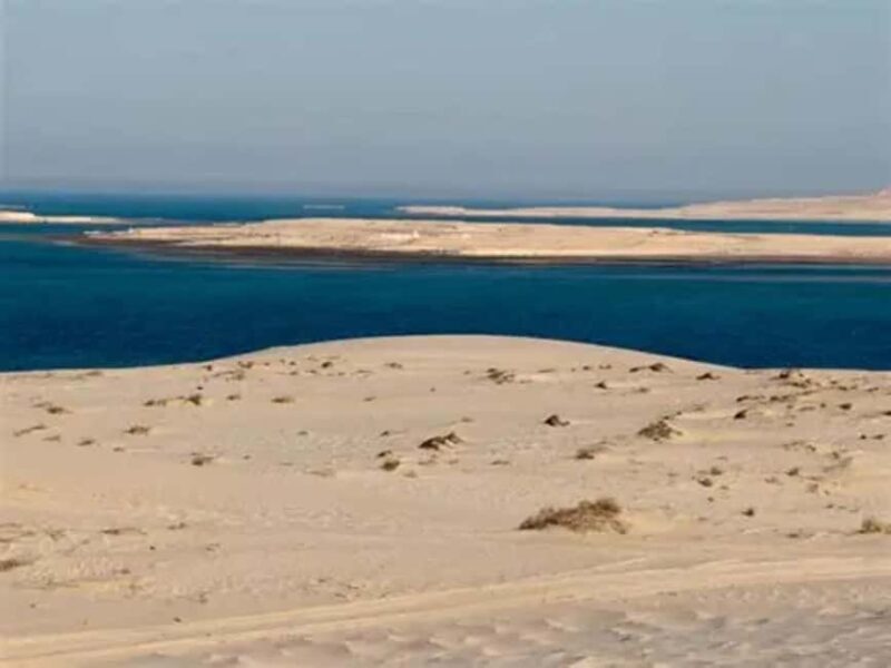 Doha Safari- Quadbike, Camel Ride, Sandboarding & Inland Sea - Price and Value Analysis